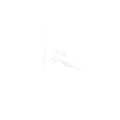 TPJ_LOGO_01